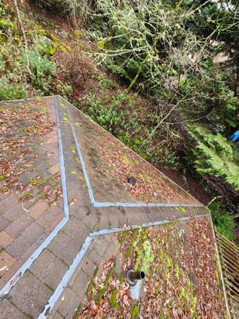 Images NJM Roof & Gutter Cleaning