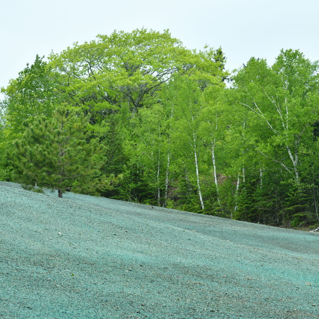 Trimmers Landscaping