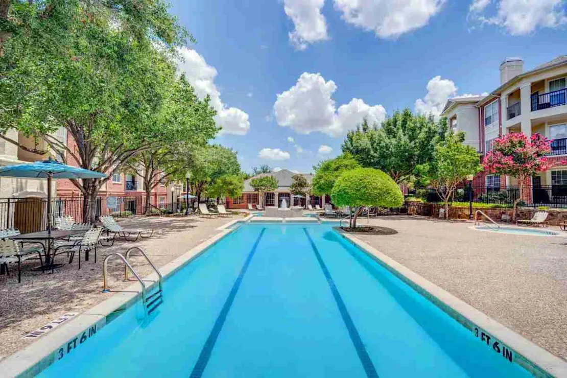 Olympic Swimming Pool 