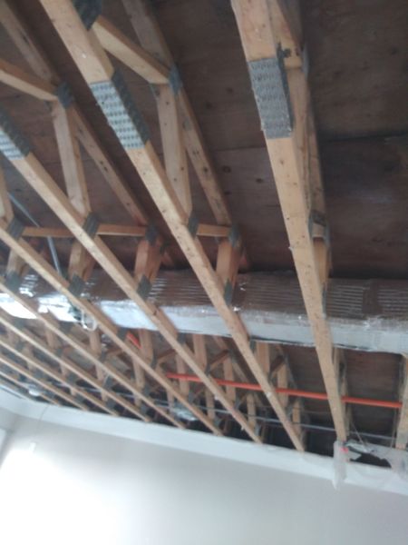 Images Simply Mold Gone