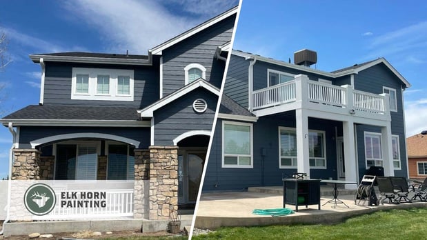 Images Elk Horn Painting - Denver