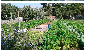 Images Azienda Agricola Carso
