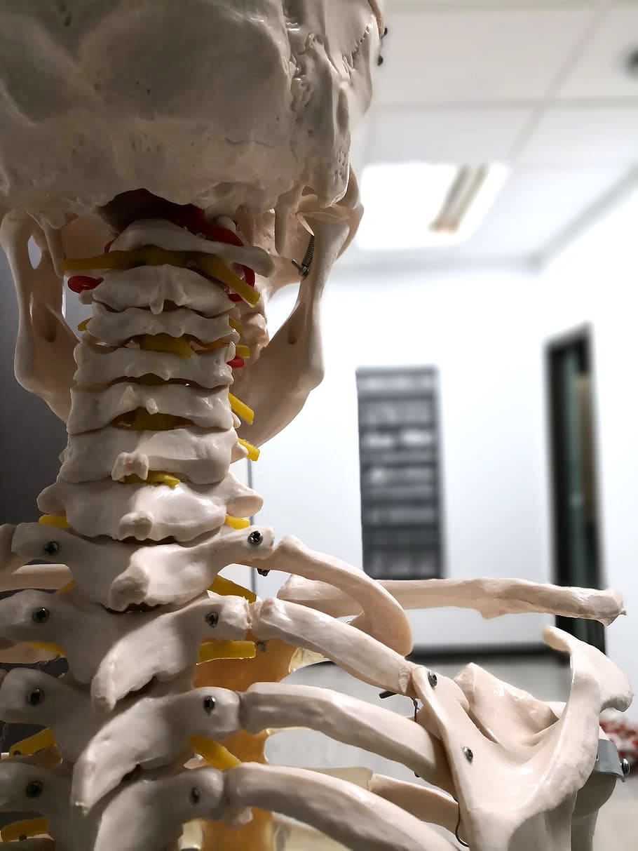 Images Nancy Cantin Ostéopathe Deux-Montagnes