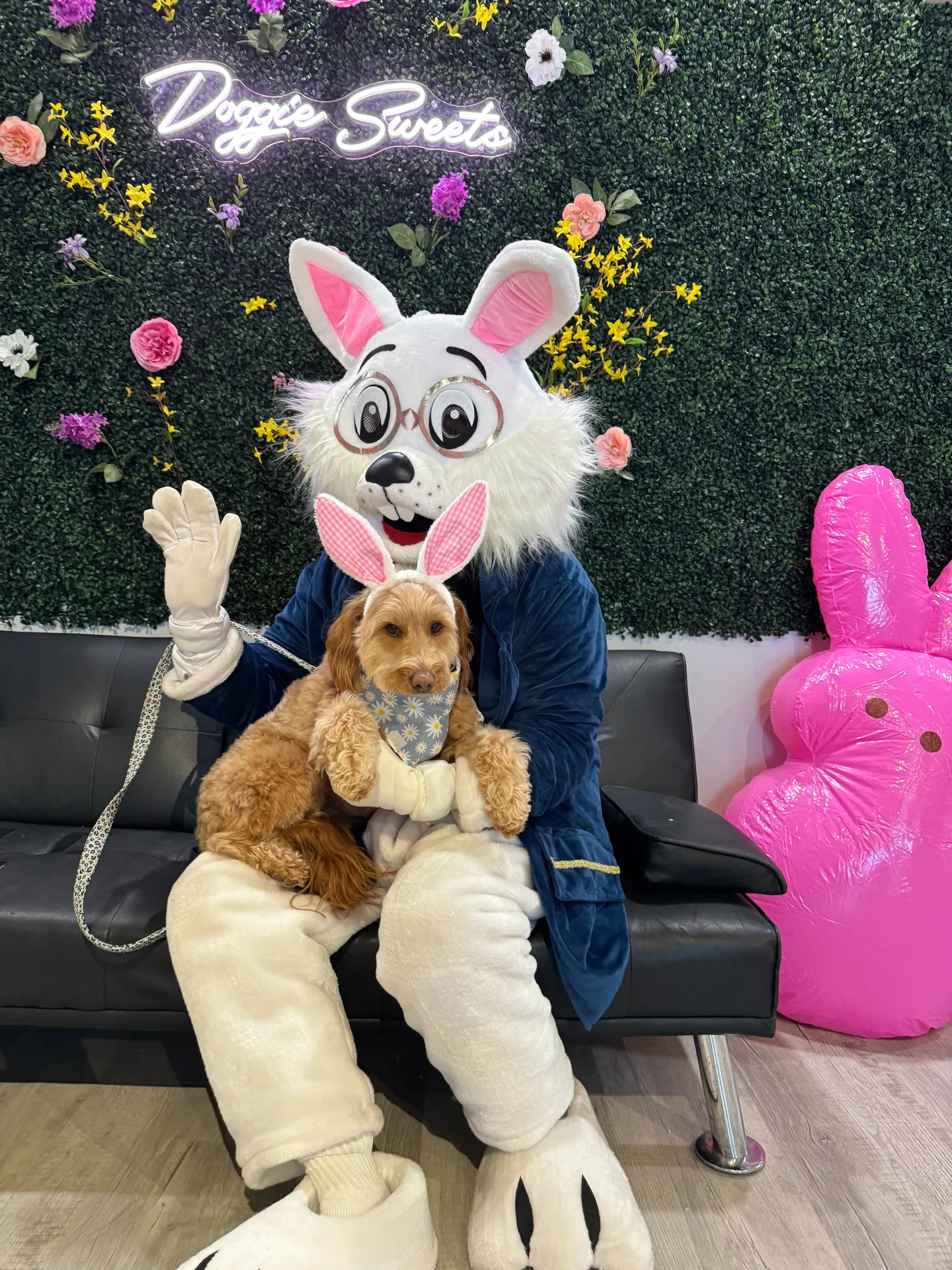 Image of Local Pet Event CAFE EVENT: Bunny Pictures Nearby