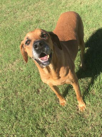 Images Lexy Thompson: Allstate Insurance