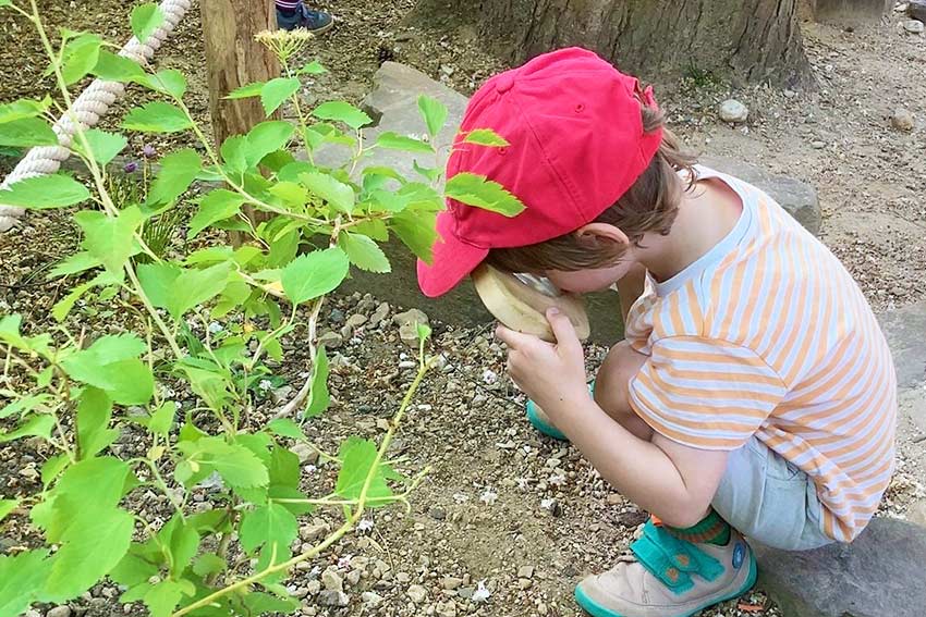 Bilder Stadtwaldkinder - pme Familienservice