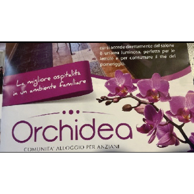 Images Orchidea