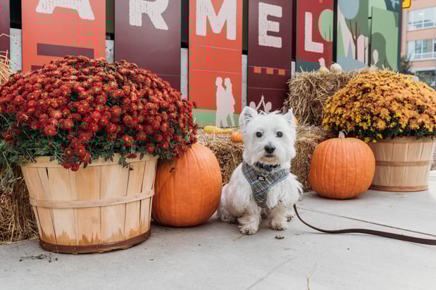 Images Drew Federau - State Farm Insurance Agent