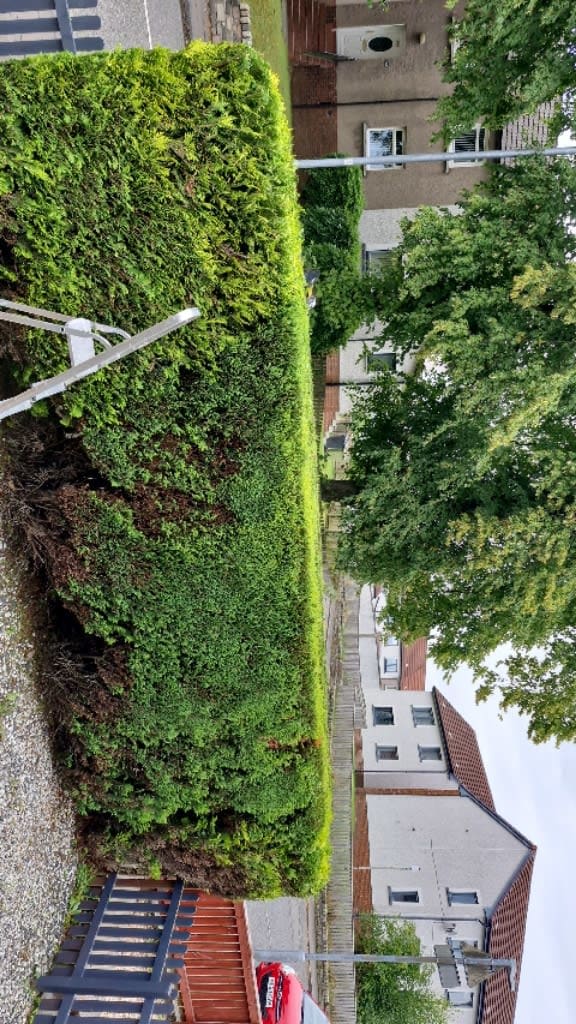 Images Green Acres