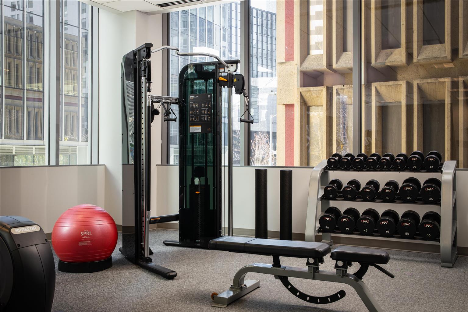 Health club fitness center gym