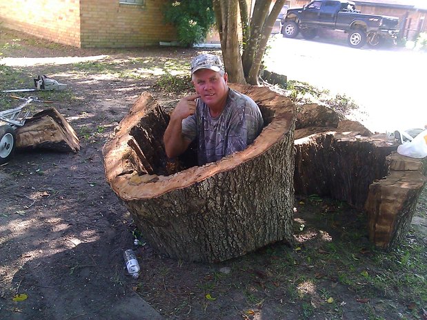Images TNT Tree Service