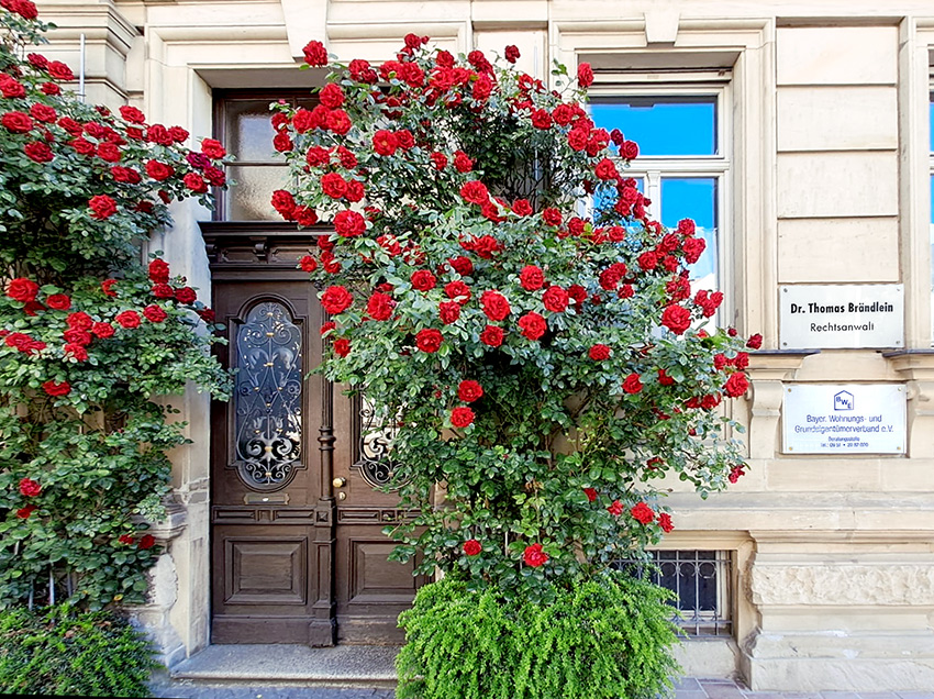 Rechtsanwalt Dr. Thomas Brändlein, Kapuzinerstraße 36 in Bamberg