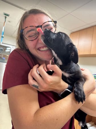 Images VCA Laguna Niguel Animal Hospital