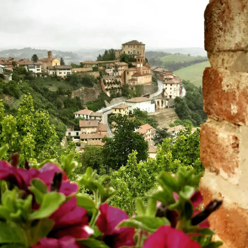 Images Bed e Breakfast Il Bosco Delle Torte