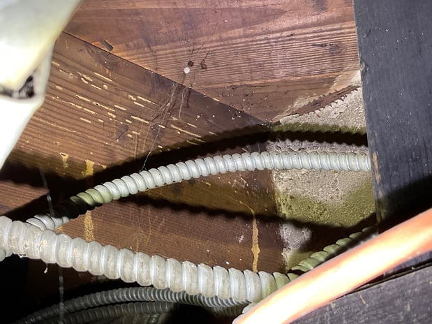 Images Nearwater Property Group LLC - Home Inspections
