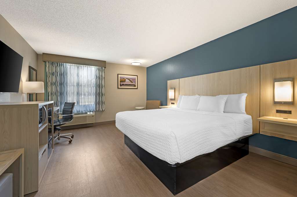 King Bed Room
