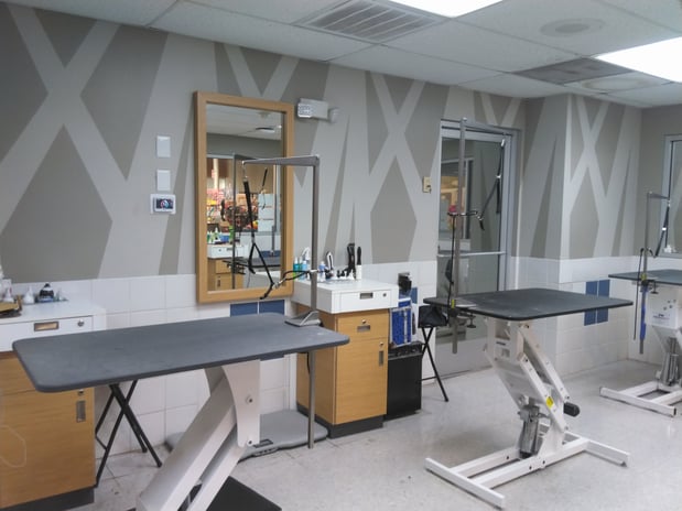 Images Petco Grooming