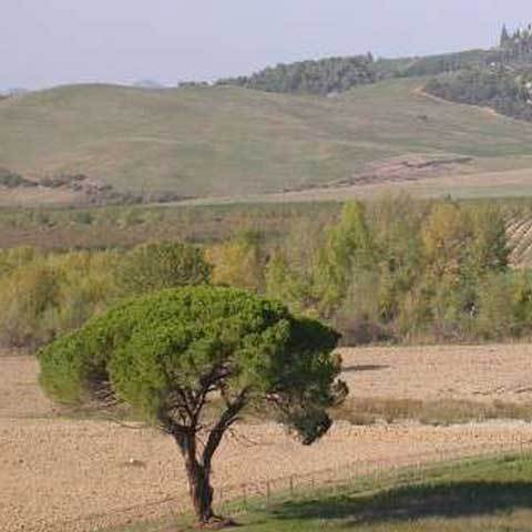 Images Bed & Breakfast  Giannetti affittacamere