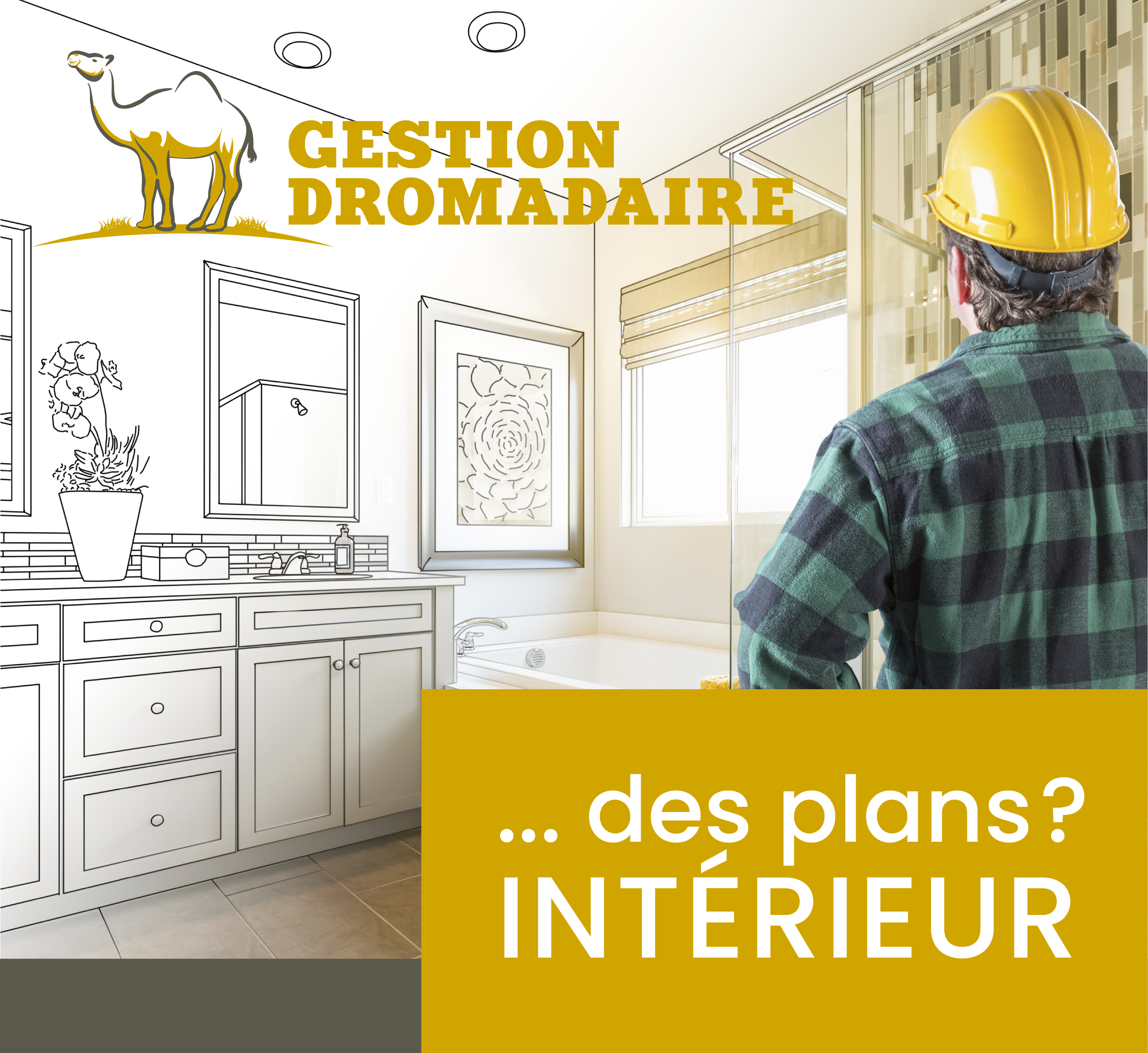 Images Gestion Dromadaire Inc