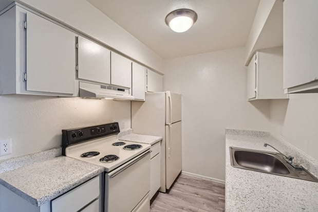 Images Rise Thunderbird