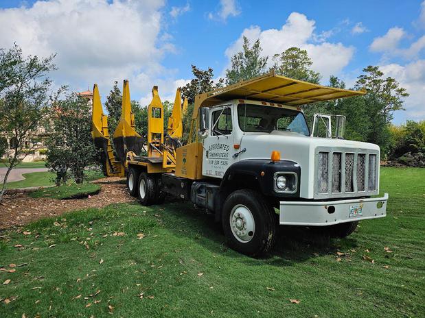 Images Associated Treemasters