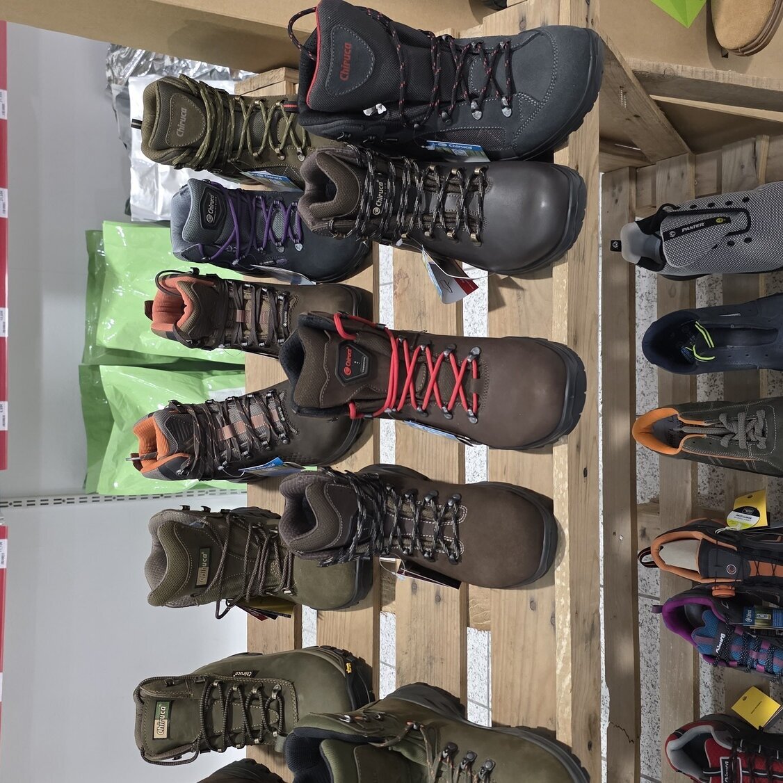 Images Mascotas gourmet