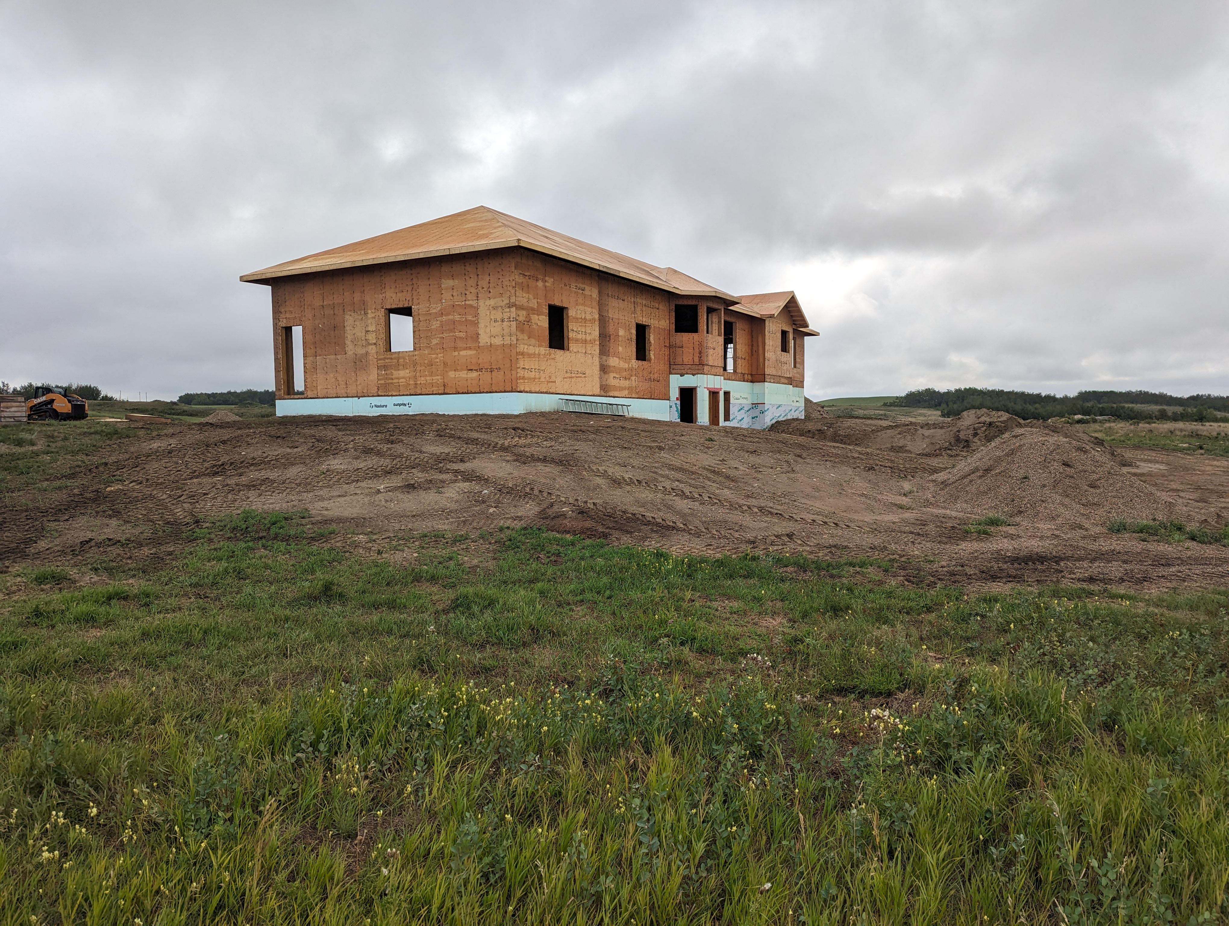 Images The Blue Spruce Builder