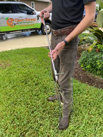 Images Clean Sweep Pest Management