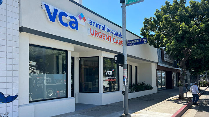 Image 7 | VCA Animal Hospitals Urgent Care - Mar Vista
