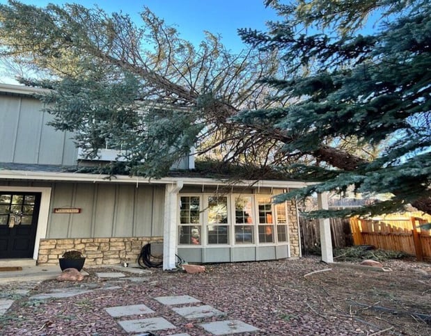 Images Climbers Choice Tree Care