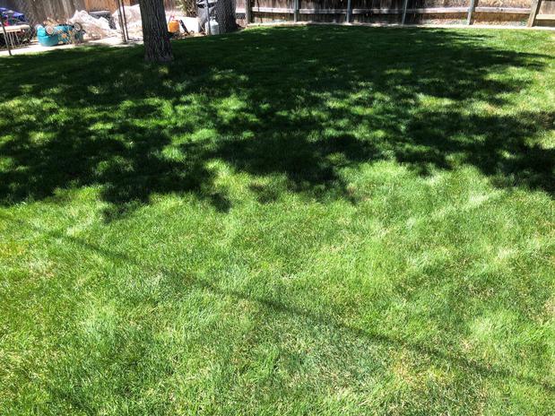Images Green Castle Lawn Care and Pest Control