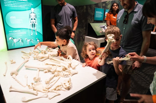 Images Texas Science & Natural History Museum