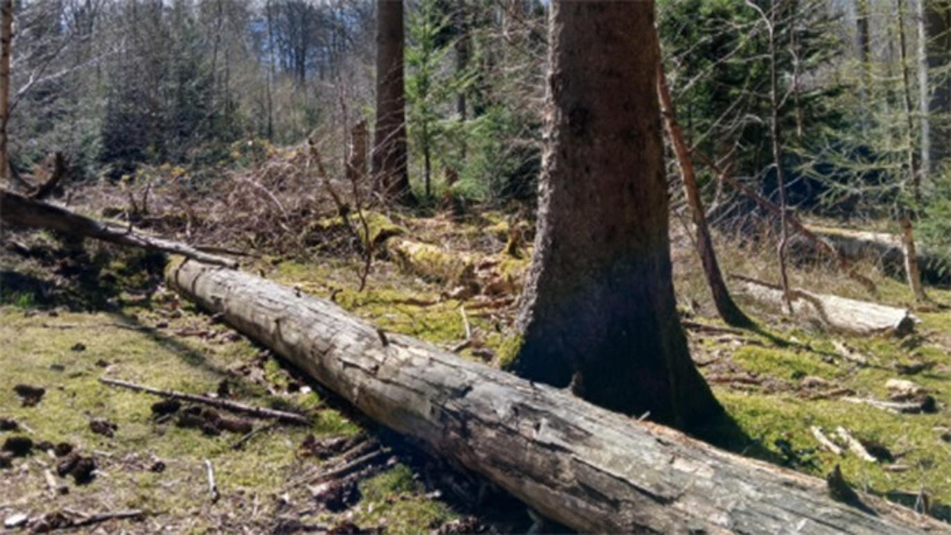 Images Yoga Soleil, Massage Og Teentrivsel Mentor