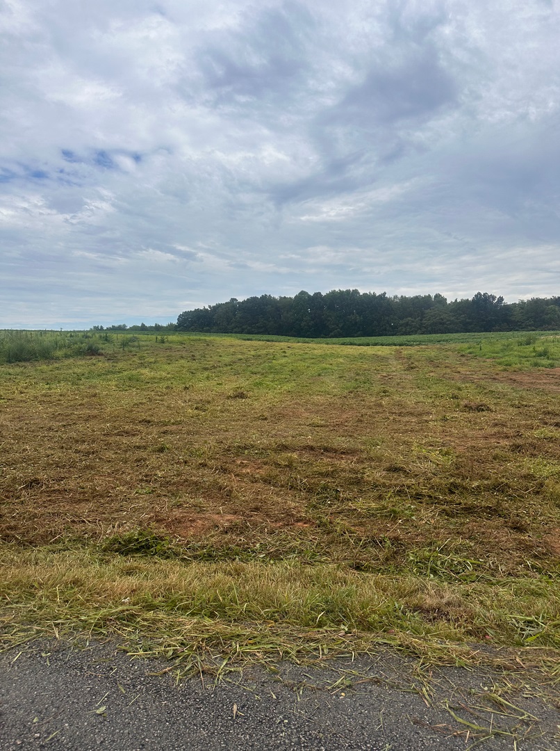 Roberts Excavation offers comprehensive land clearing services to remove vegetation, debris, and obstacles from your property. Our team ensures your land is prepared for future use, creating a clean and open space for construction or landscaping projects. We prioritize efficiency and attention to detail in every job.