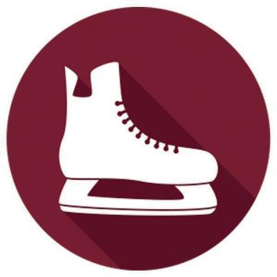 Eissporthalle Haßfurt in Hassfurt - Logo