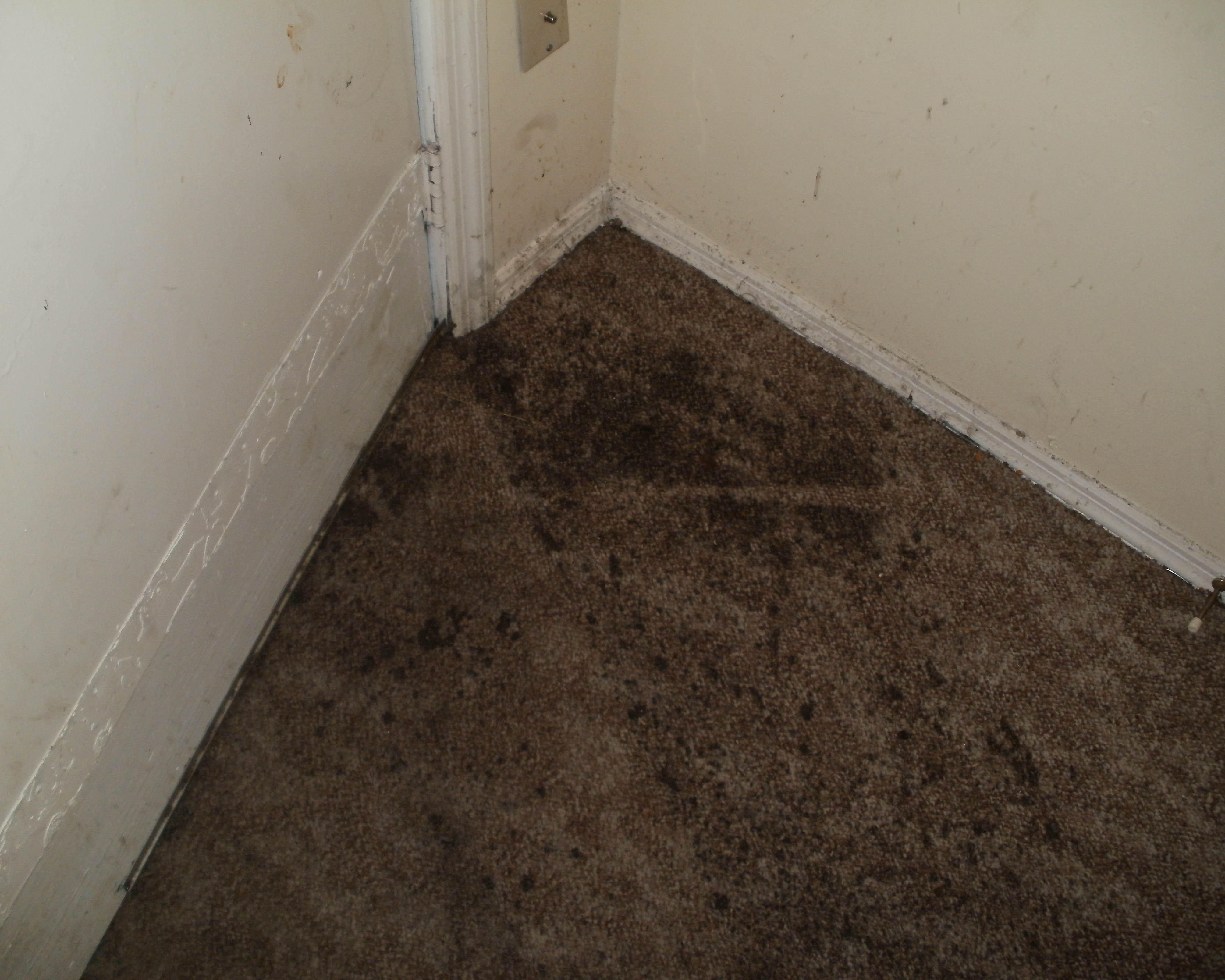 You may have a mold problem if there are bad smells coming from your floors, walls, or drains. SERVPRO of Jacksonville South is equipped to meet all of your mold removal requirements. Give us a call!