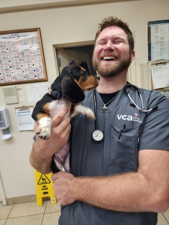 Images VCA Old Trail Animal Hospital