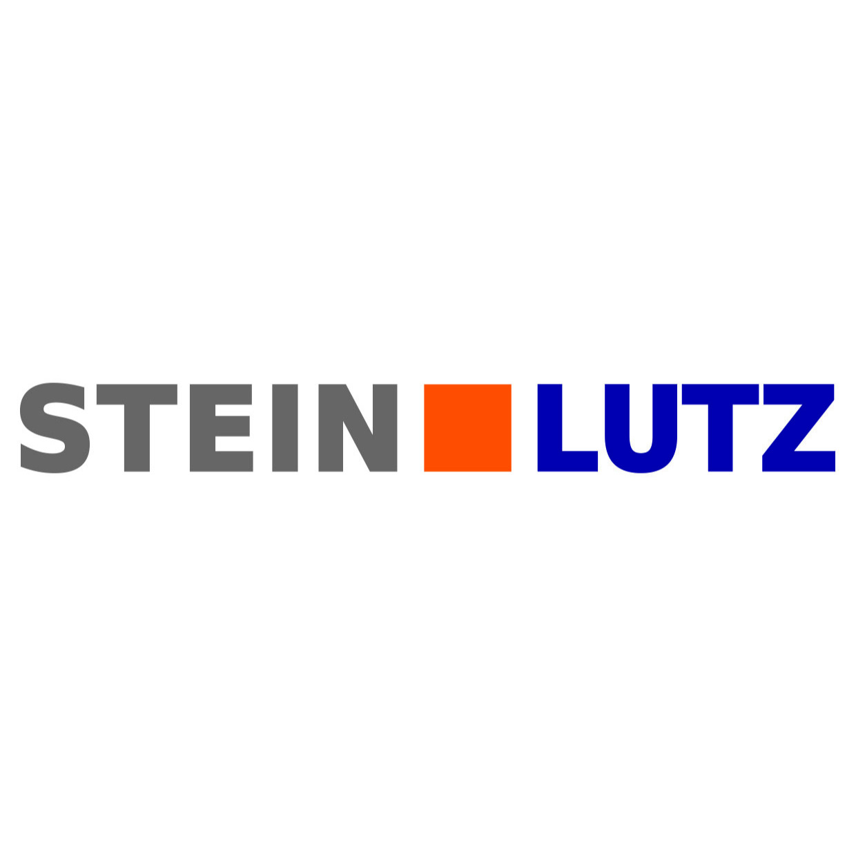 Logo von Steinmetz Lutz