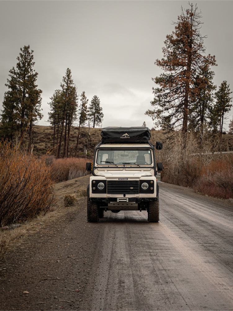 Gallery thumbnail