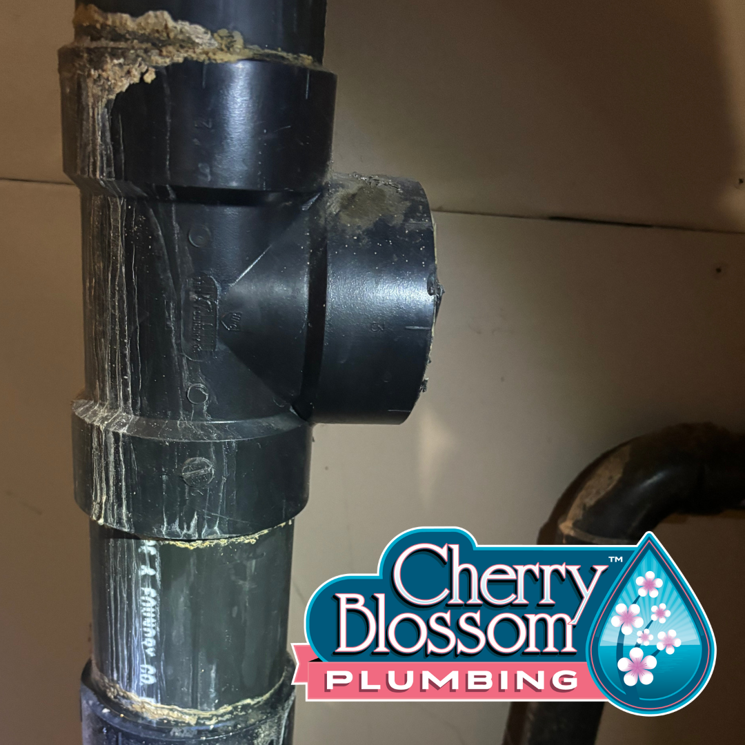 Cherry Blossom Plumbing Image