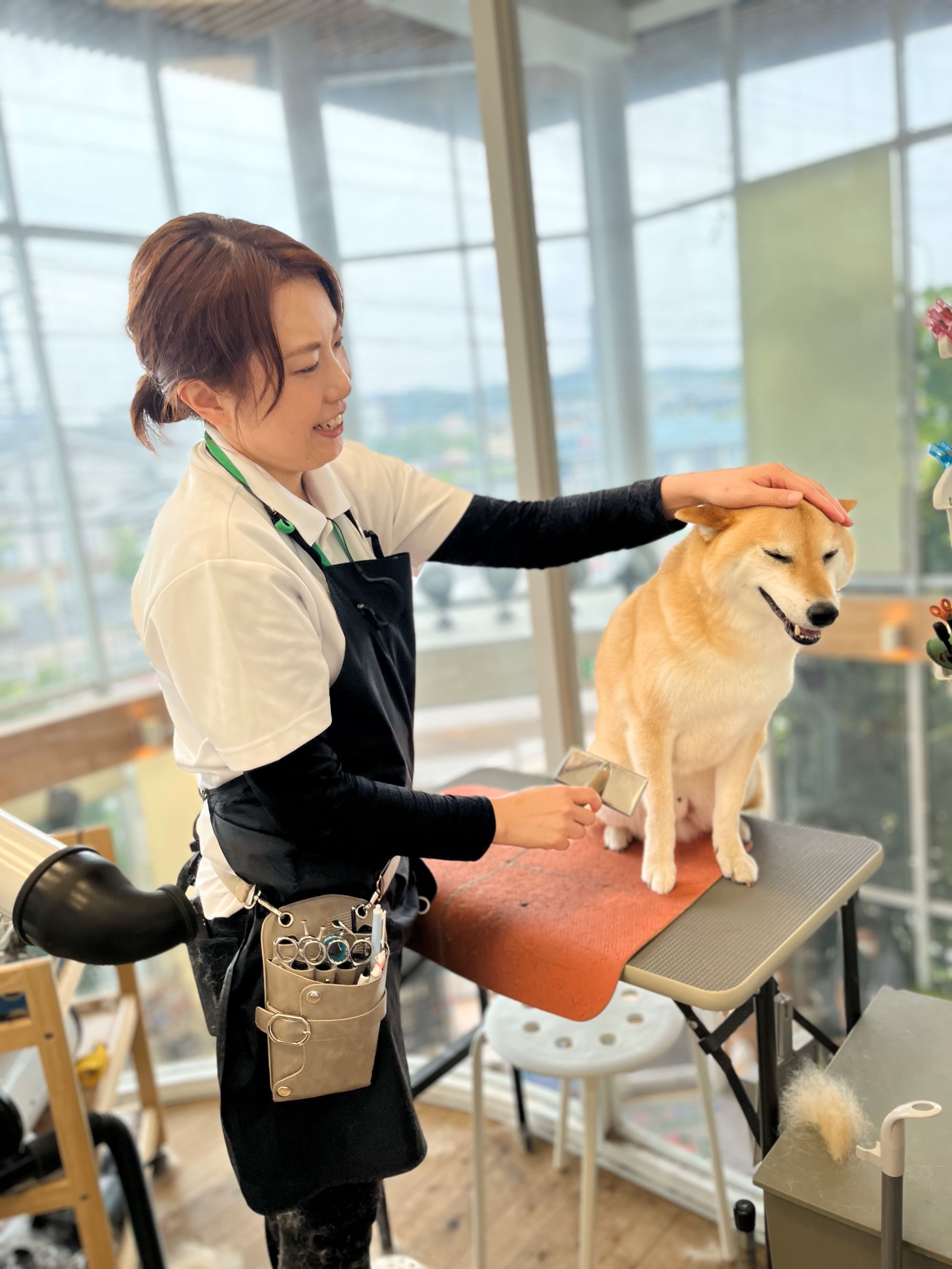 Images 動物医療センター もりやま犬と猫の病院