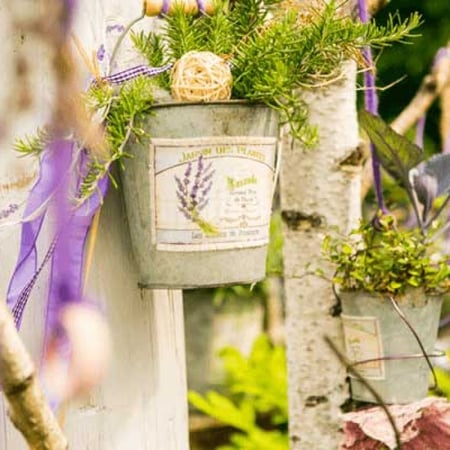 Bilder flower dreams