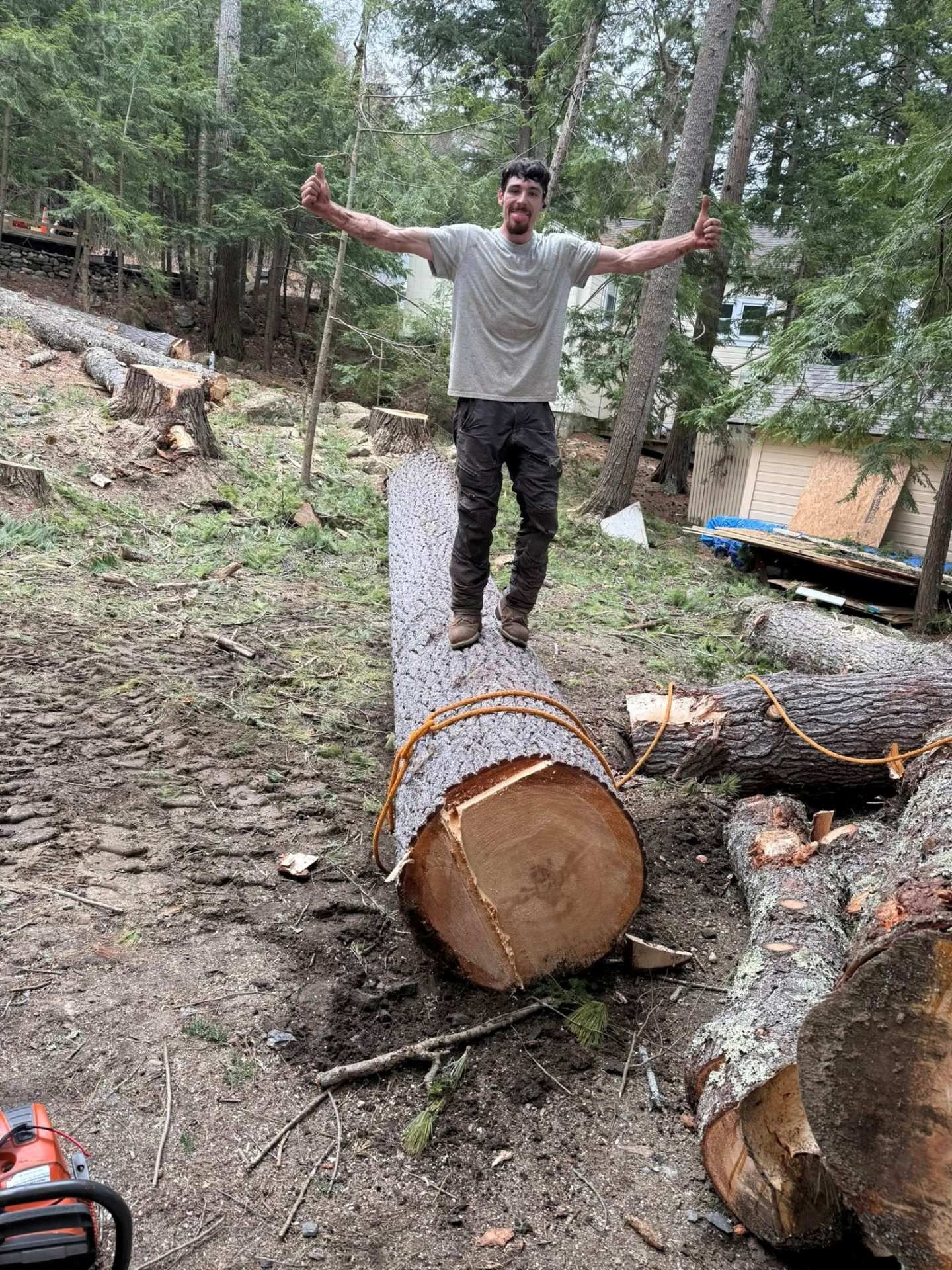 Willett's Forest and Property Maintenance LLC Image