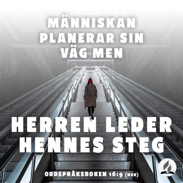 Images Sjundedags Adventistsamfundet