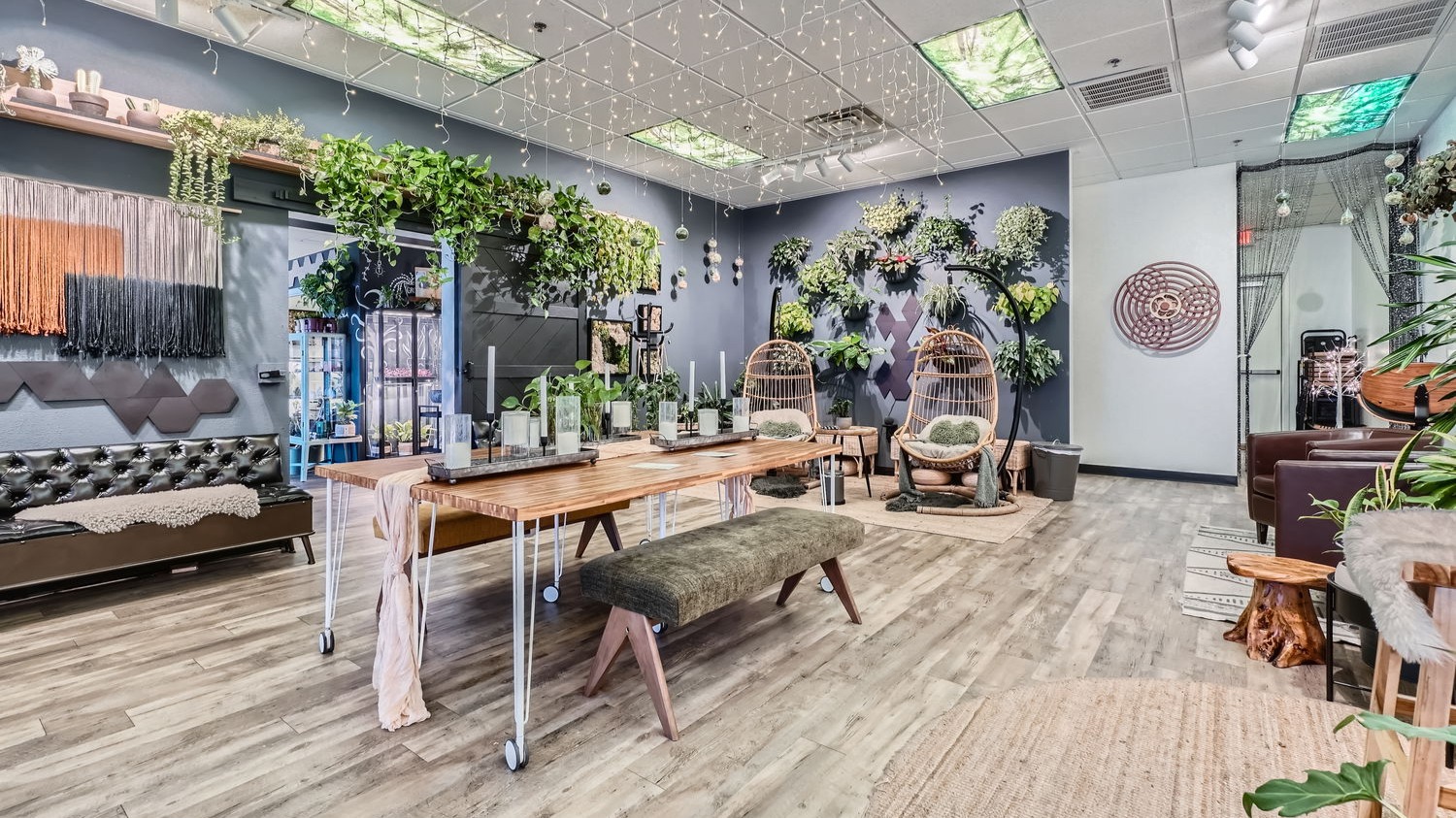 All of our plants are well maintained by our staff, who are well trained in plant care and ready to pass that knowledge onto you when you take one of our plants home!