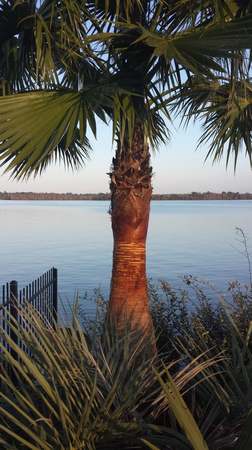 Images TNT Tree Service