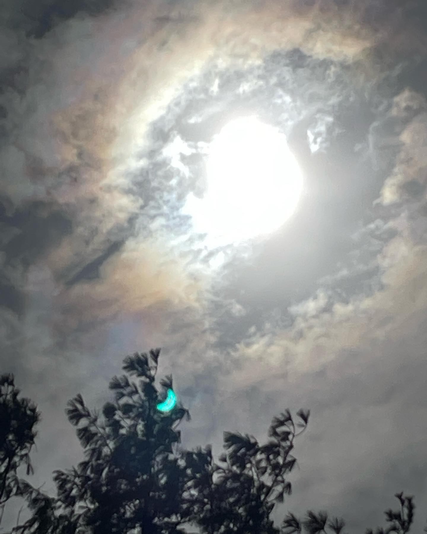 Total Eclipse 2024!