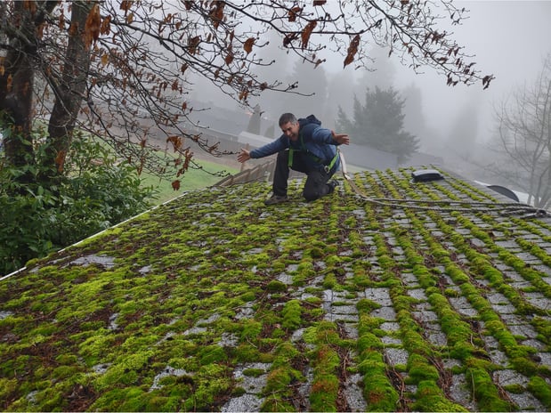 Images Grace Roof & Gutter Cleaning