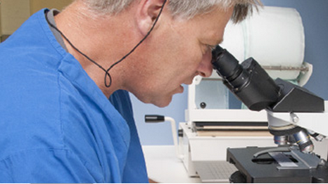 Zentrum für Tiermedizin Klettgau, Schmerlatstrasse 1 in Neunkirch