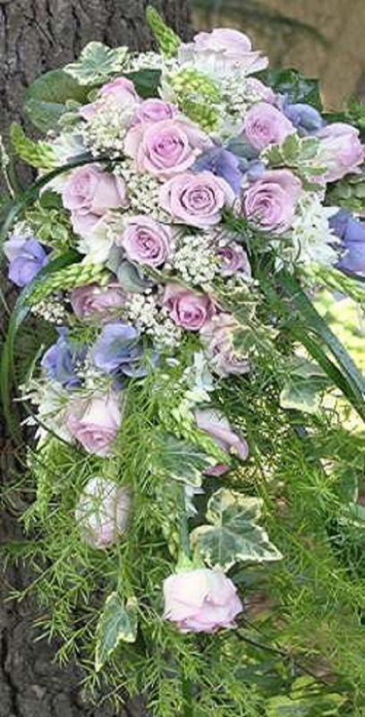 Images Fioreria Petali di Rosa